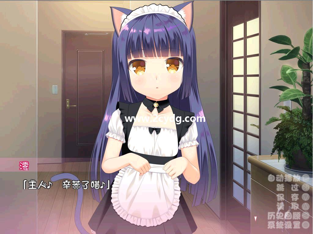 和奶猫一起创造家族吧_1.jpg