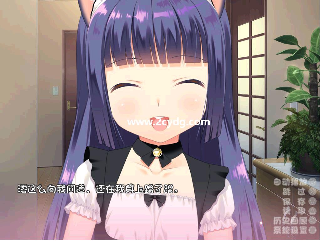 和奶猫一起创造家族吧_2.jpg