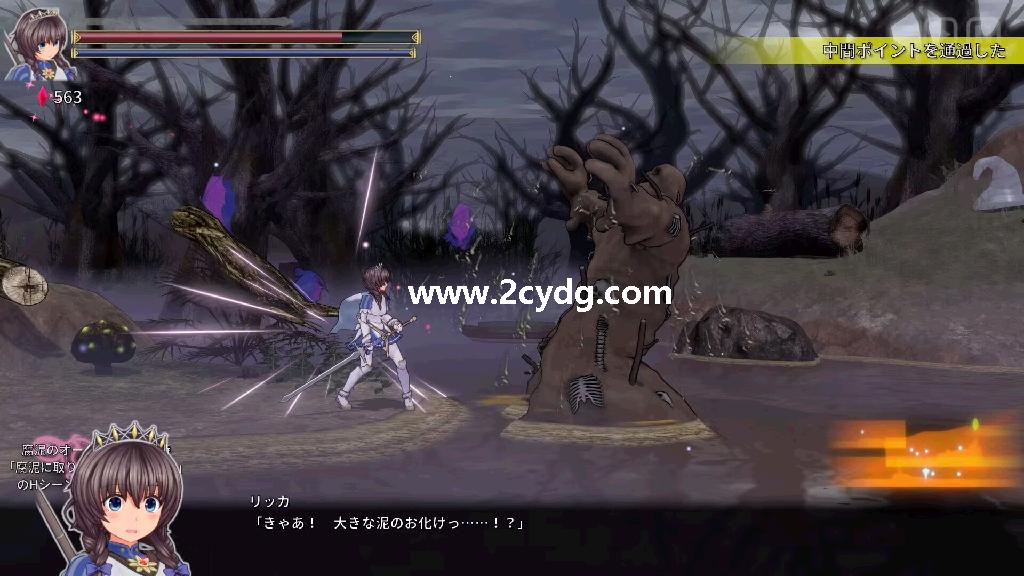 圣骑士莉卡_2.jpg