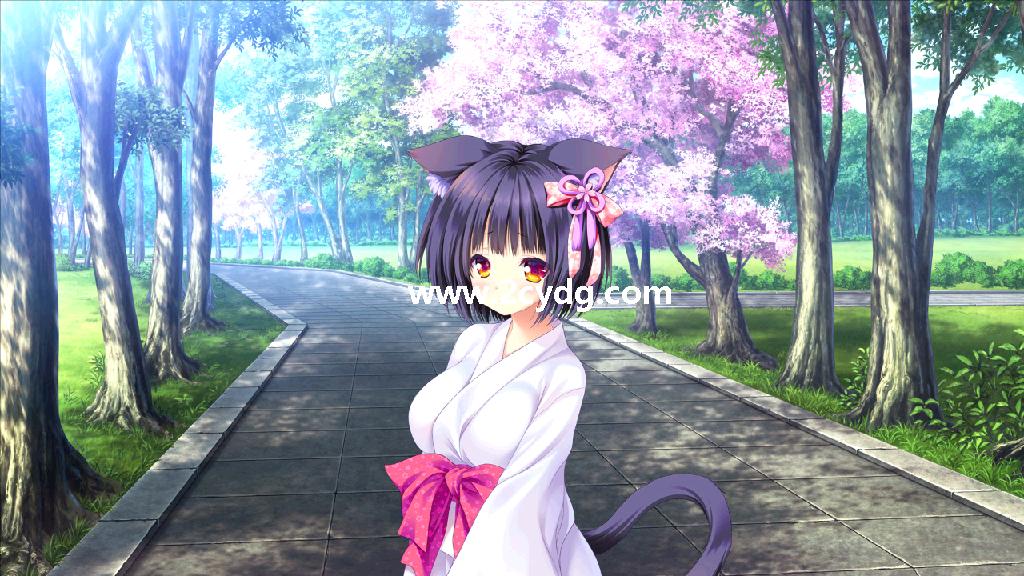 猫咪相随_6.jpg