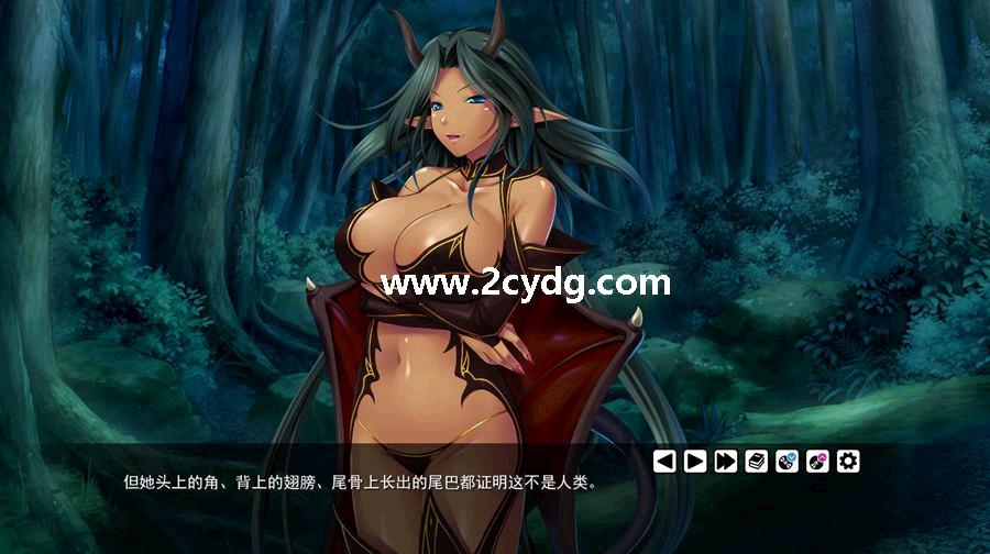 后宫领主·骑士&圣女&魔王_2.jpg