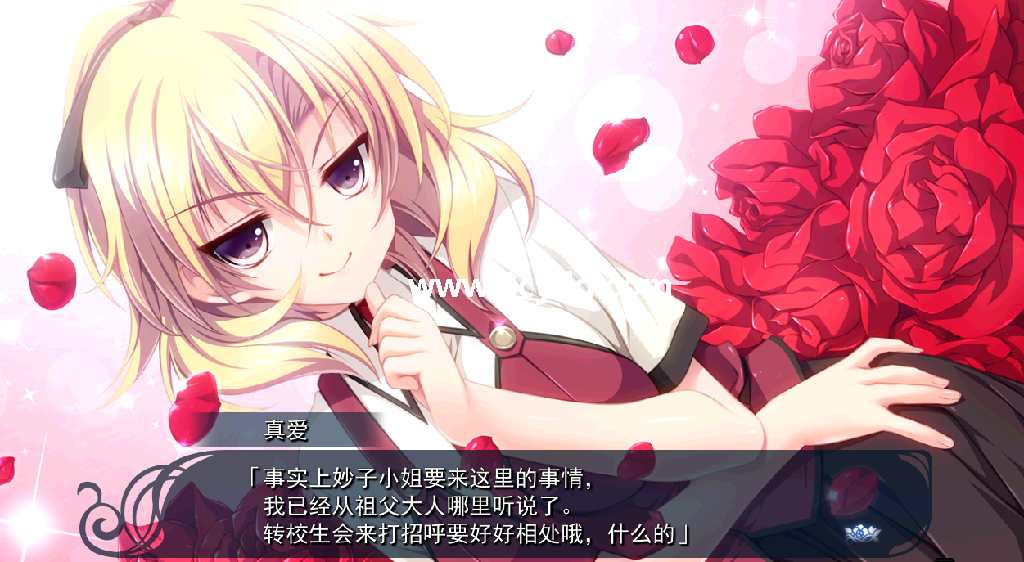 恋爱中的少女与守护盾_3.png