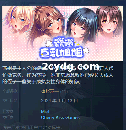 《邋遢姐姐多年后》免安装-v1.1.1(STEAM官中+全DLC)绿色中文版[826 MB][百度网盘]