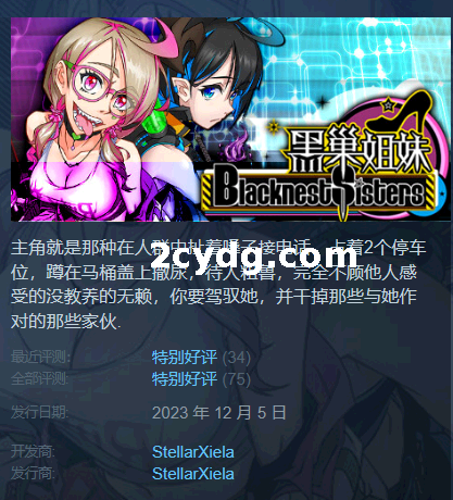 《黑巢姐妹》免安装-Build.12896249-1.177.2-(STEAM官中+DLC)-支持手柄绿色中文版[1.95G]